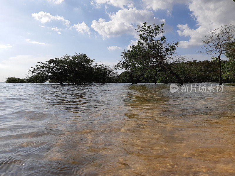 亚马逊地区- TAPAJOS - PARA